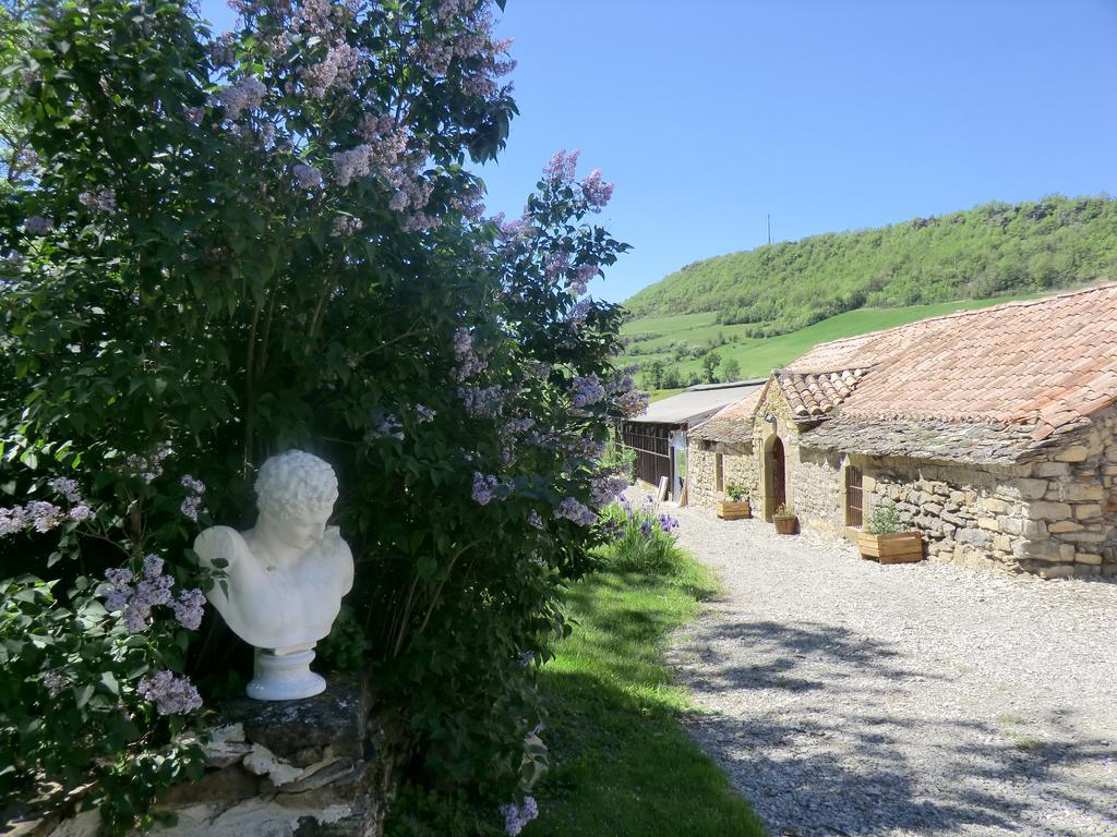 مبيت وإفطار Saint-Jean-dʼAlcapiès Domaine D'Alcapies المظهر الخارجي الصورة