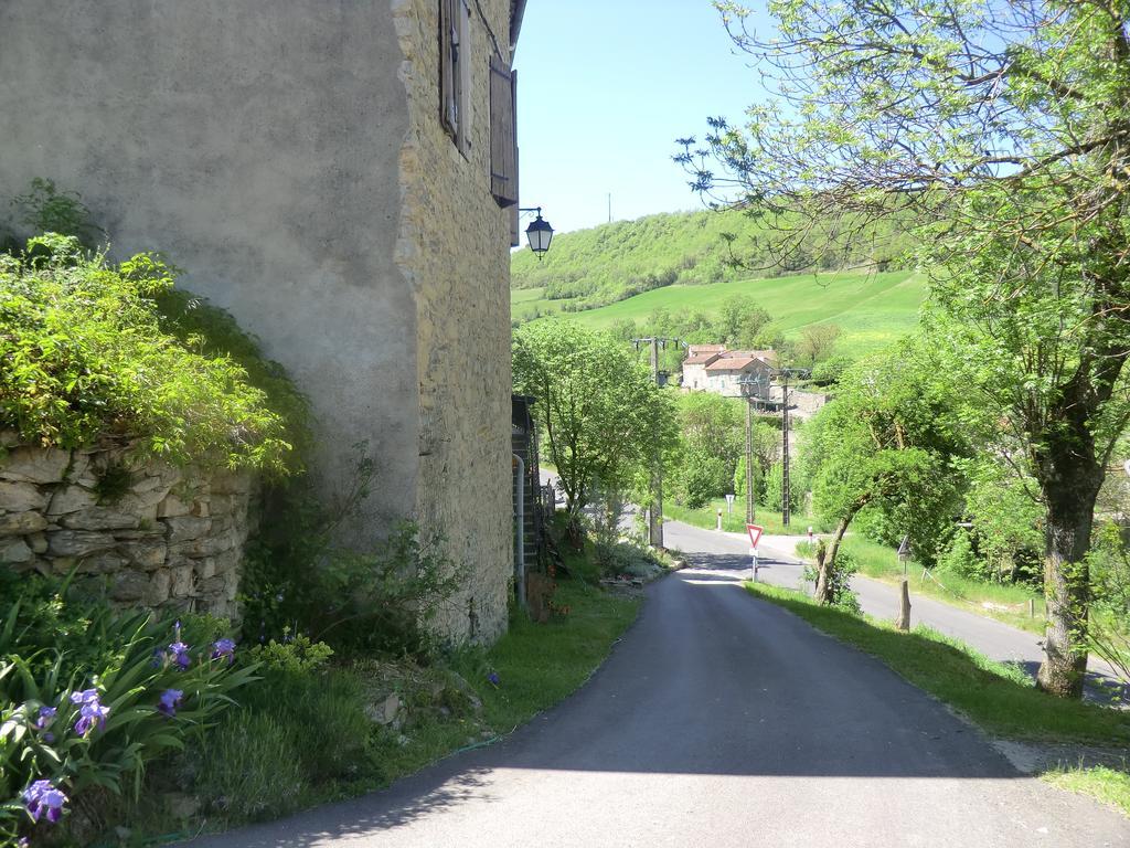 مبيت وإفطار Saint-Jean-dʼAlcapiès Domaine D'Alcapies المظهر الخارجي الصورة