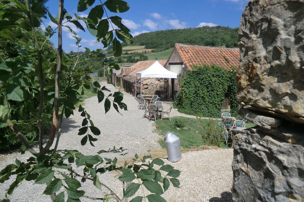 مبيت وإفطار Saint-Jean-dʼAlcapiès Domaine D'Alcapies المظهر الخارجي الصورة