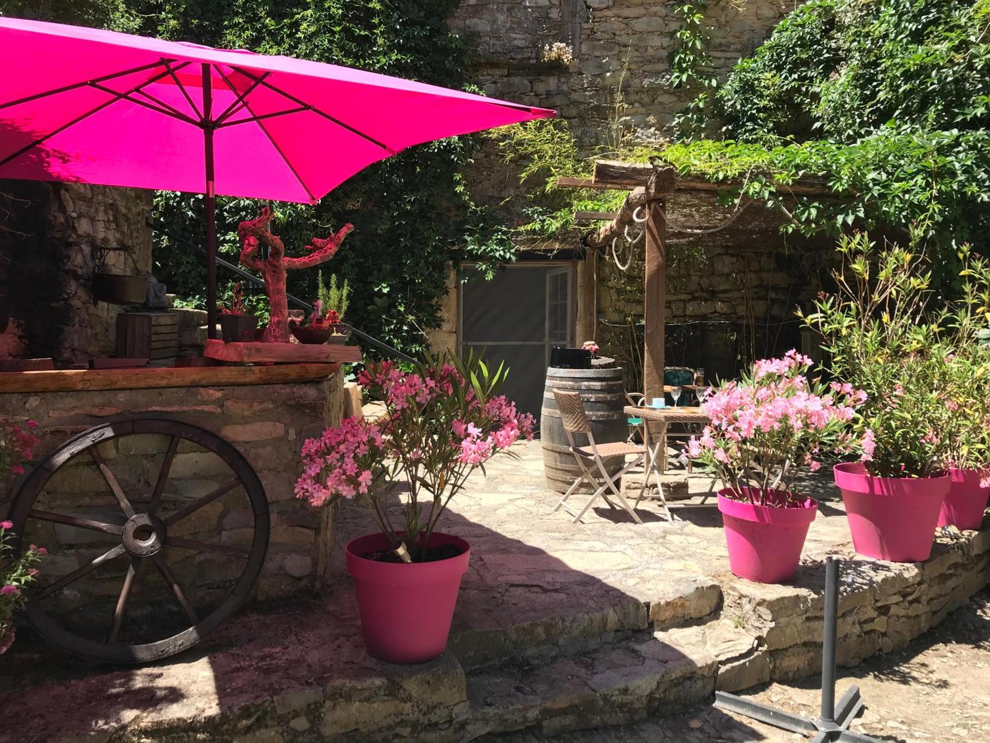 مبيت وإفطار Saint-Jean-dʼAlcapiès Domaine D'Alcapies المظهر الخارجي الصورة
