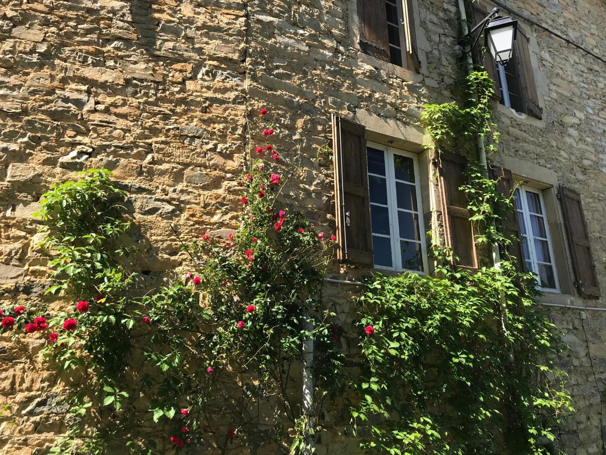 مبيت وإفطار Saint-Jean-dʼAlcapiès Domaine D'Alcapies المظهر الخارجي الصورة