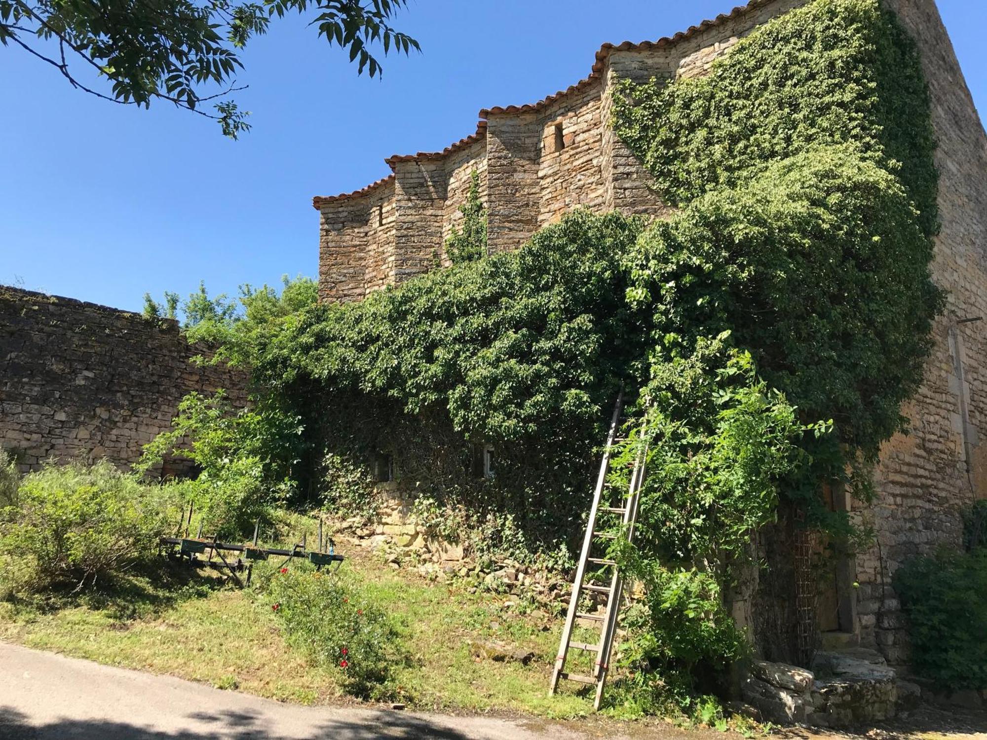 مبيت وإفطار Saint-Jean-dʼAlcapiès Domaine D'Alcapies المظهر الخارجي الصورة