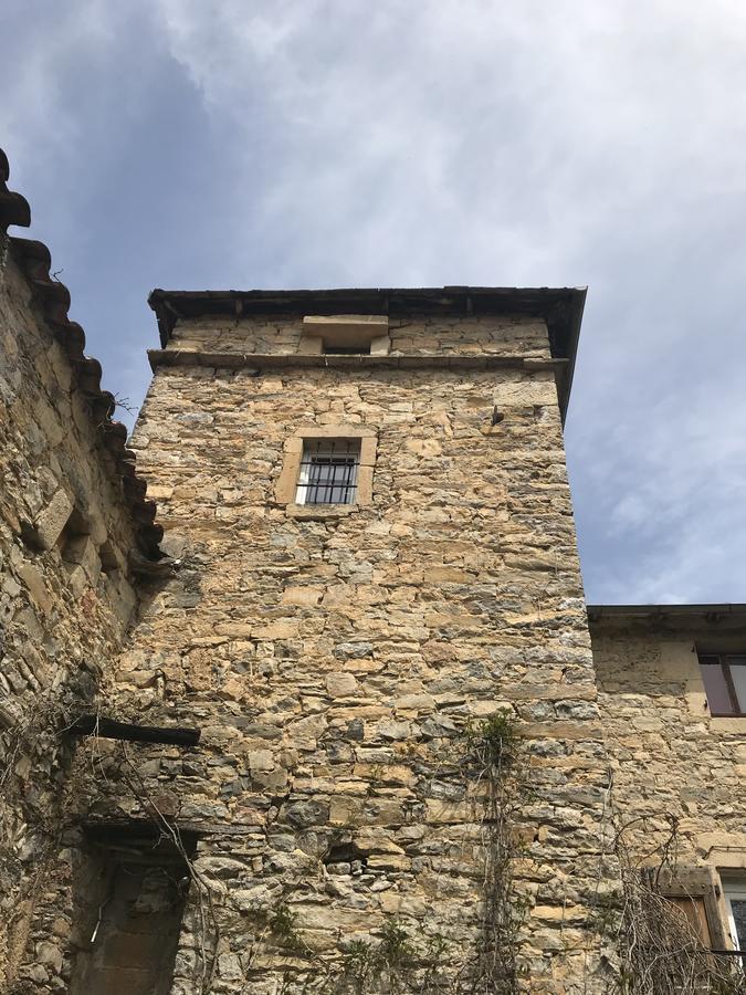 مبيت وإفطار Saint-Jean-dʼAlcapiès Domaine D'Alcapies المظهر الخارجي الصورة